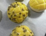 チョコチップメロンパン作り方13写真