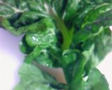 あっさり簡単な高菜炒め作り方1写真