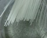 アイスプラントもずく和え作り方8写真