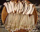 エリンギのからしマヨあえ　海苔風味作り方7写真