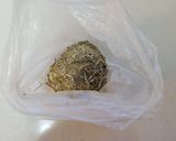 昆布おにぎり作り方5写真