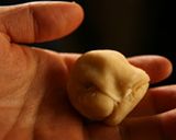 お父さん！胡椒餅を母の日に作ってみてね作り方6写真