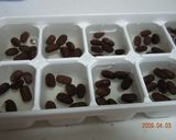 食べごたえアリ♪ あずき寒天作り方4写真
