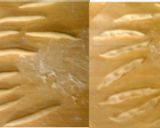 生パスタ＊カプンティ作り方5写真