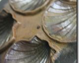 海老煎餅作り方7写真