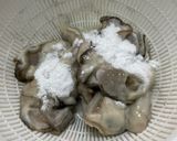 【失敗しない】簡単カキフライの基本作り方1写真