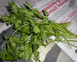 超エコな作り方①乾燥香菜・コリアンダー作り方1写真