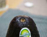 アボガド＆ツナサラダ作り方1写真