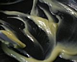 カレー風味のカツ用ソース作り方2写真