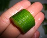 美味しい 蛇腹漬け作り方5写真