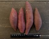 甘酸っぱい⭐︎さつまいものレモン煮作り方3写真