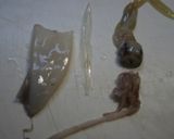 いかのさっと煮作り方1写真