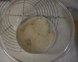 食パン -角型2斤-作り方6写真