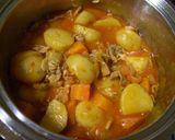 新じゃがと豚肉のケチャップ煮作り方7写真