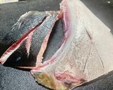 極上!ぶりのカマの塩焼き作り方3写真
