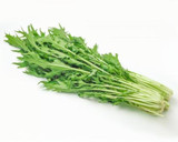 ほうれん草の胡麻和え (簡単)(1品)作り方12写真