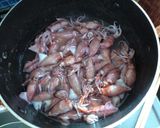 ホタルイカの佃煮作り方4写真
