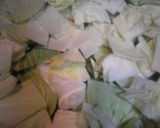 男の料理(笑)作り方1写真