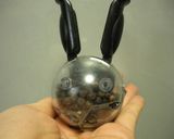 貝割れ大根サラダ作り方4写真