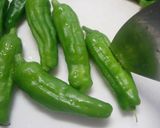 ししとうと鰹節で炒め煮作り方1写真