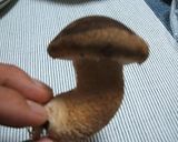 ほうれん草と原木 椎茸のソテー作り方1写真