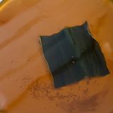 骨までやわらか！いわしの煮付け（生姜煮）作り方2写真