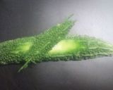 ゴーヤのおから入り肉詰作り方1写真