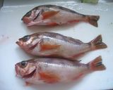 赤めばちの煮つけ作り方1写真