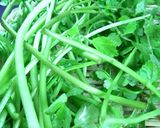 韓国で作る春野菜料理　野芹の和え物作り方1写真