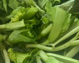 さっぱり美味しい😋高菜の浅漬け作り方2写真