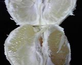 ♫グレープフルーツのむき方♫作り方3写真