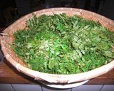 葉山椒の佃煮作り方1写真