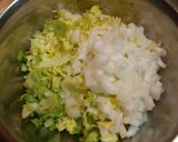 春キャベツ餃子作り方3写真