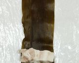 うちの味☆力説最強❣早煮昆布で昆布巻き♬作り方30写真