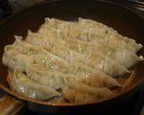 春キャベツ餃子作り方9写真