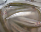 ワカサギのなめこおろし和え作り方1写真