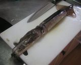 試行錯誤 烏賊の塩辛作り方1写真