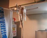 試行錯誤 烏賊の塩辛作り方8写真