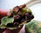 蓬餅、草もち作り方3写真