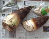 筍のあく抜き作り方1写真