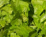 セロリの葉・油揚げ・しめじのポン酢炒め♤作り方1写真