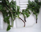 山椒の新芽で♪木の芽の佃煮♪作り方3写真