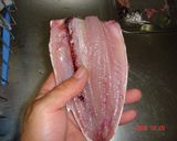 うるめ鰯の刺身作り方3写真