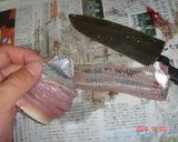 うるめ鰯の刺身作り方7写真