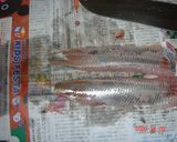 うるめ鰯の刺身作り方8写真
