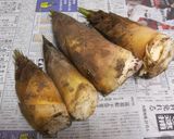 筍の茹で方＆筍のXO醤炒め作り方5写真
