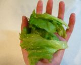 ドレッシングがからむ&食べやすいレタス作り方1写真