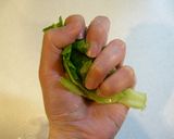 ドレッシングがからむ&食べやすいレタス作り方2写真