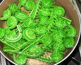 シンプルに味わいましょ!こごみのおひたし作り方4写真