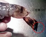 尾っ！残らないよ☆まるごとエビフライ作り方2写真